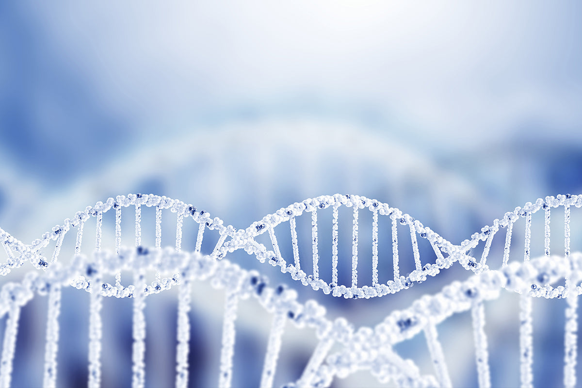 Application of dNTPs in High Sensitivity and High Reproducibility DNA Synthesis