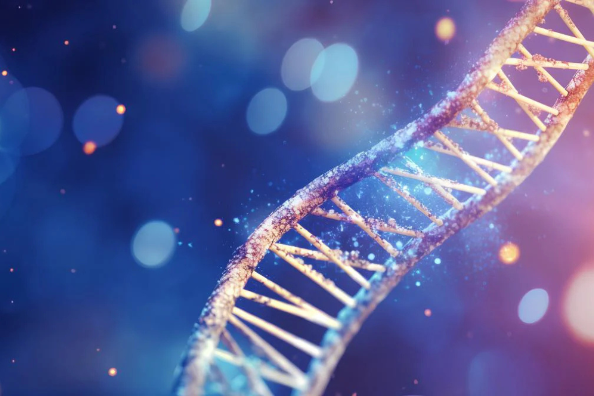 Plasmid DNA Purification Demystified: A Practical, Step-by-Step Guide from Yield to Transfection Success