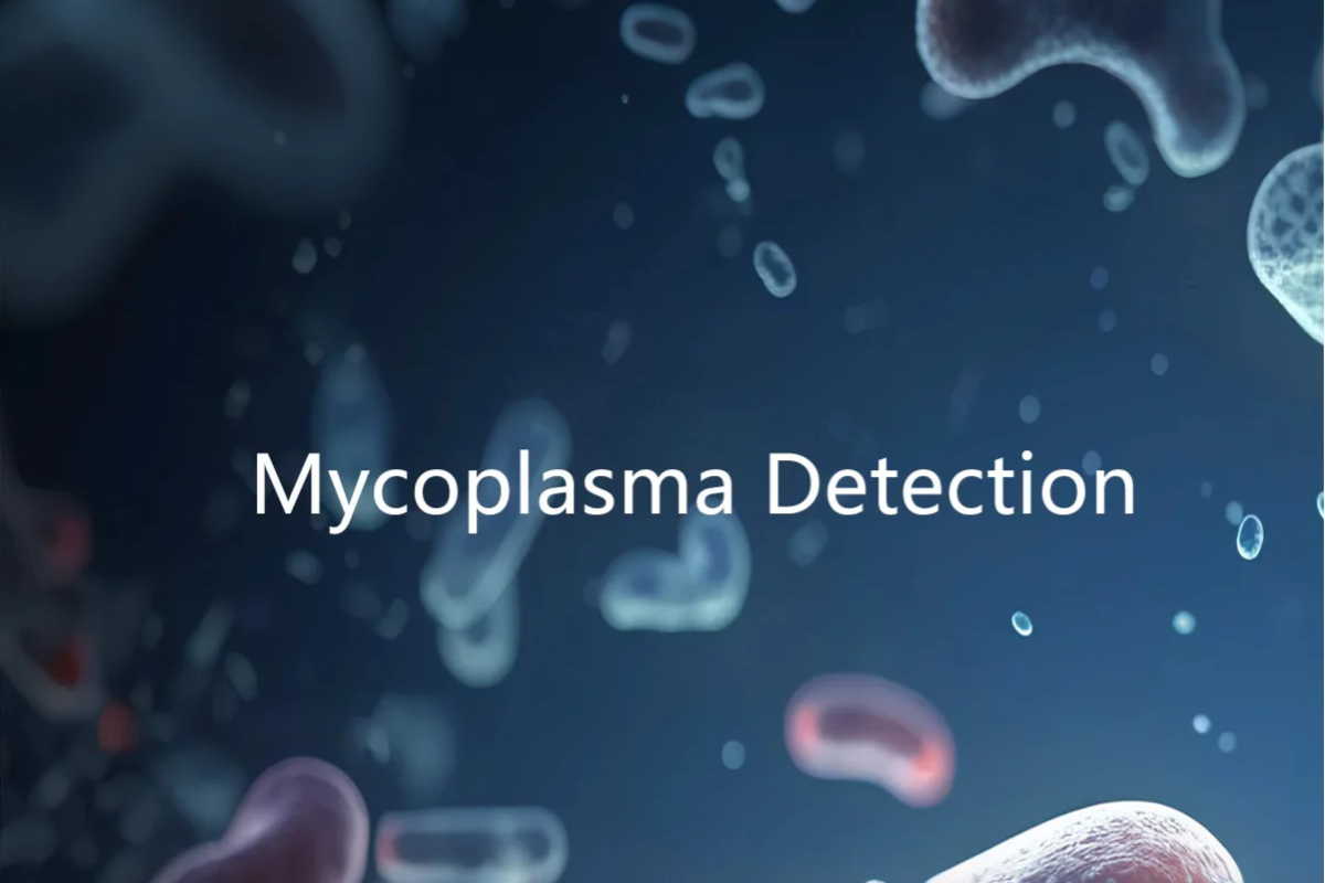 Mycoplasma qPCR detection and method validation contribute to the advancement of cell and gene therapy technology development