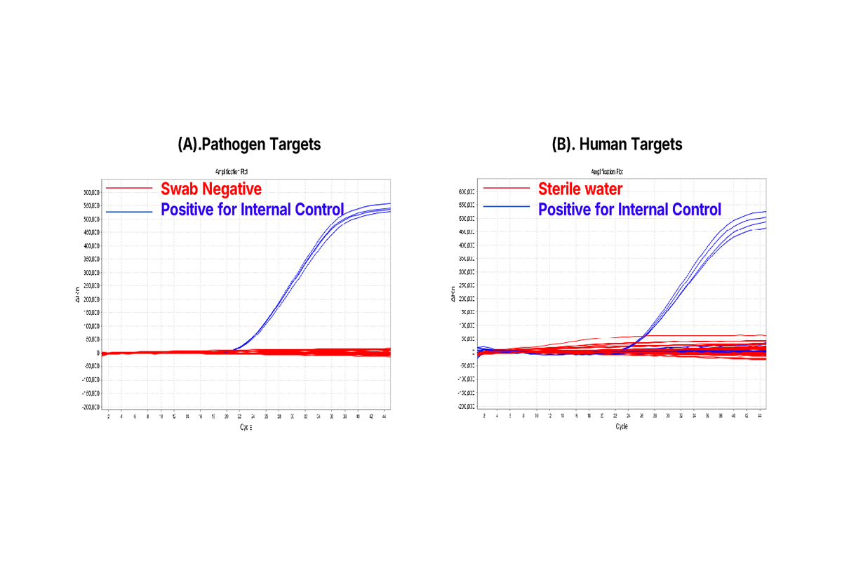 High-Quality Universal RT-qPCR Reagents — Empowering Molecular Diagnostic Kit Development