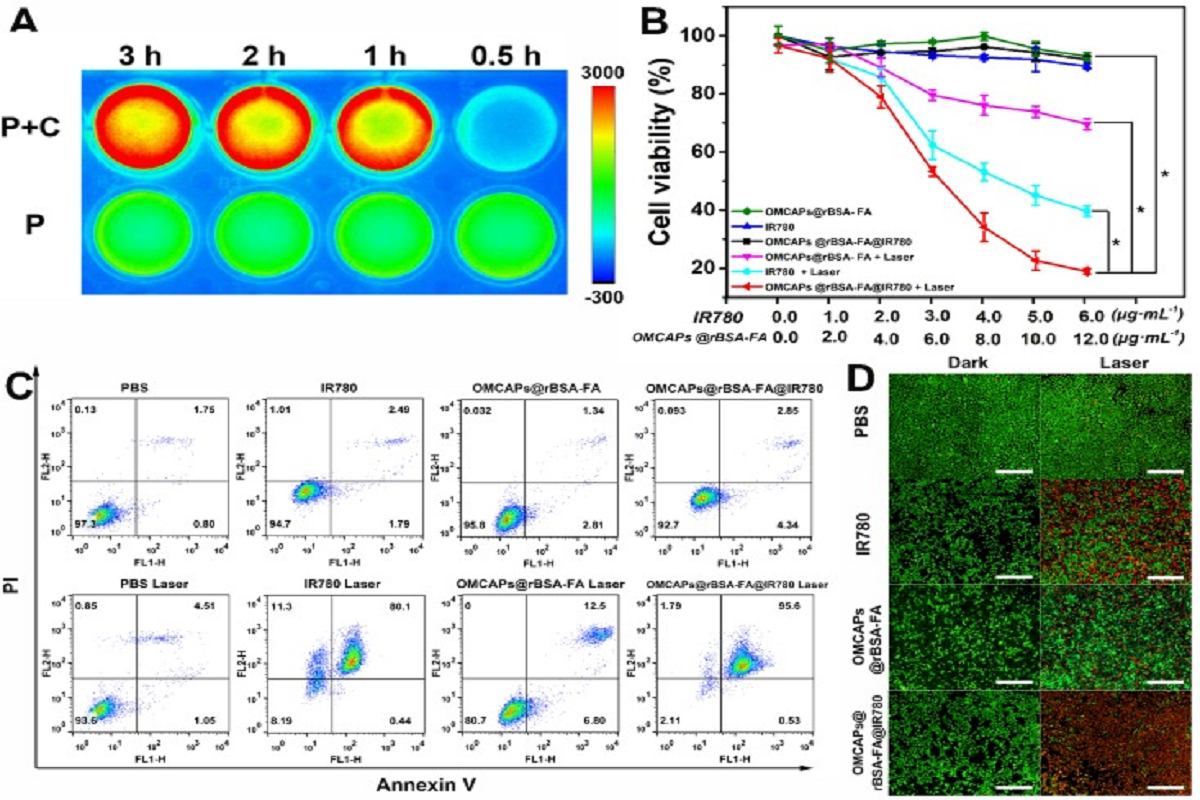 Common Problems and Solutions in Annexin V-Based Flow Cytometry Apoptosis Assays
