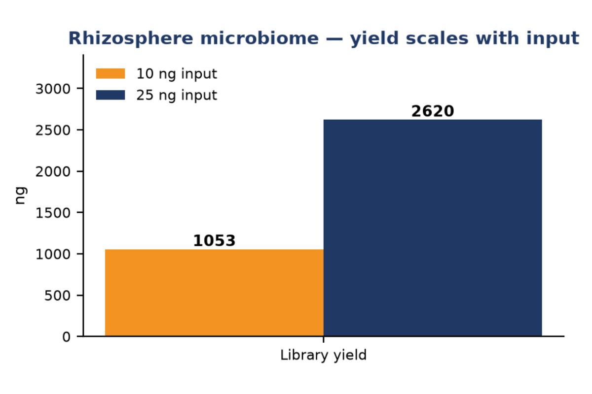 Automated DNA Library Prep | Metagenomic Sequencing for Rhizosphere Microbiome