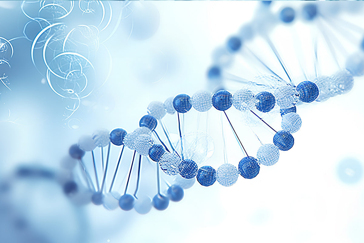 Collection Transcriptome Research Raw Material Solution Summary