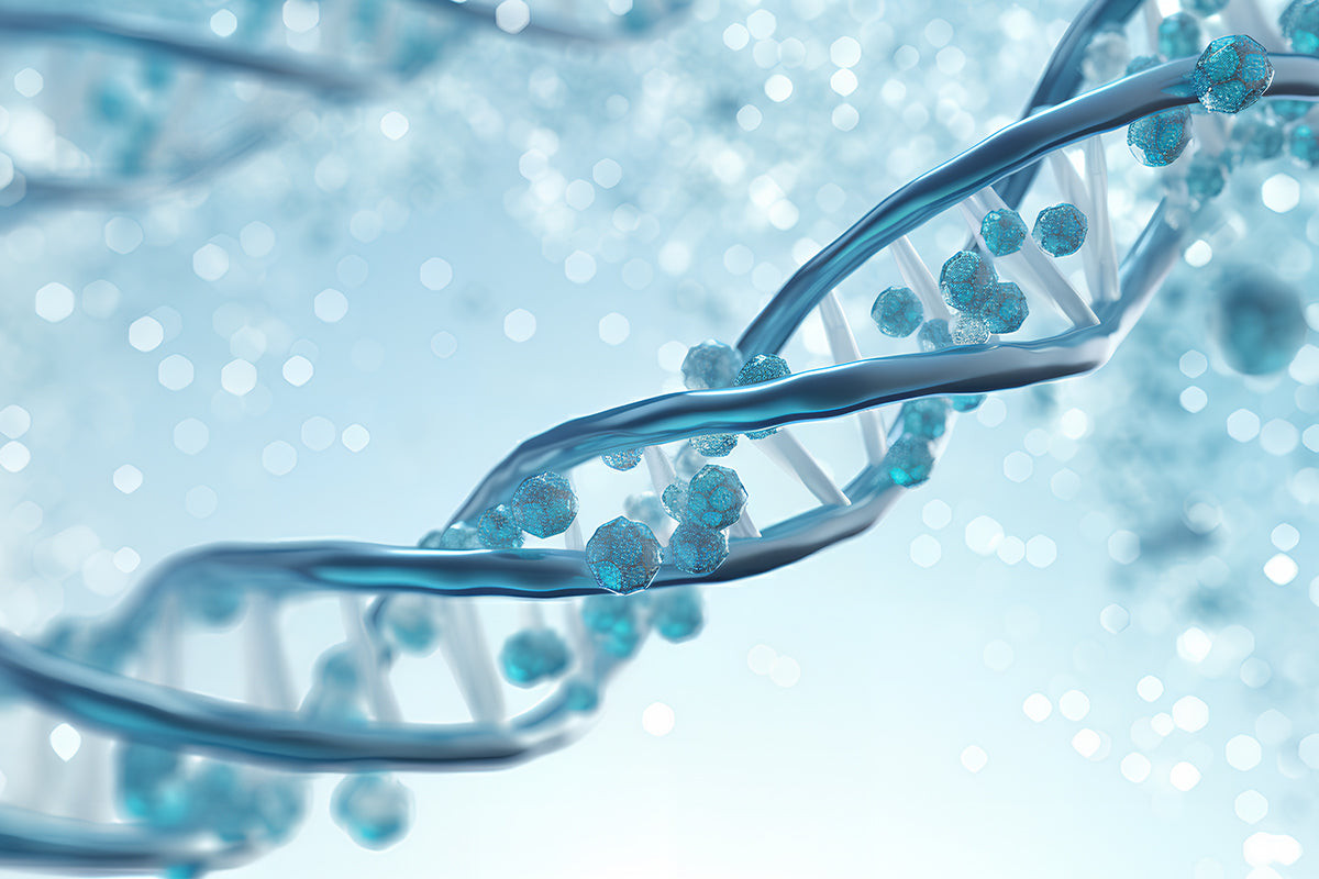 Universal High-Performance Pre-mixed qPCR Master Mix, Facilitating Efficient and Accurate Detection in Various Scenarios!