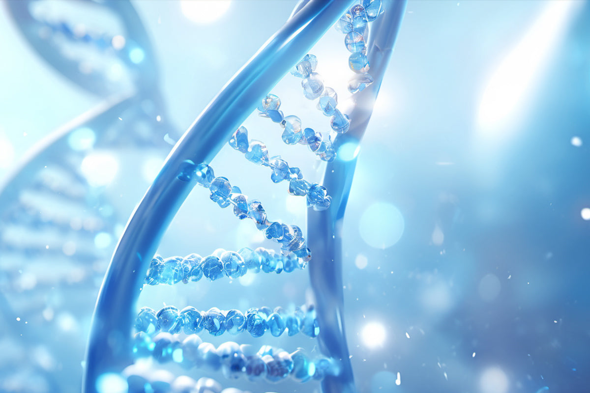 Applications of Geneticin (G418)