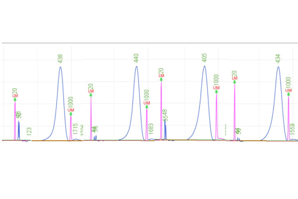DNA Library Prep | Herbal Medicine Samples | WGS