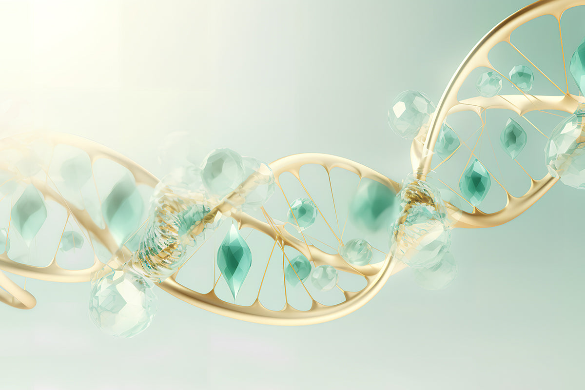 GMP RNase R:Unlock new momentum in circular RNA research!