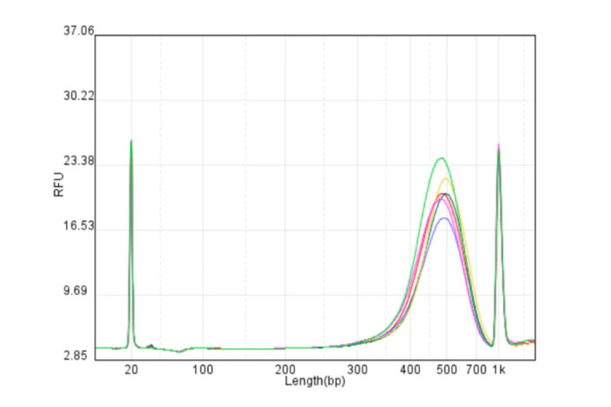DNA Library Prep | Animal breeding samples (cattle, sheep, geese, chickens) | WGS