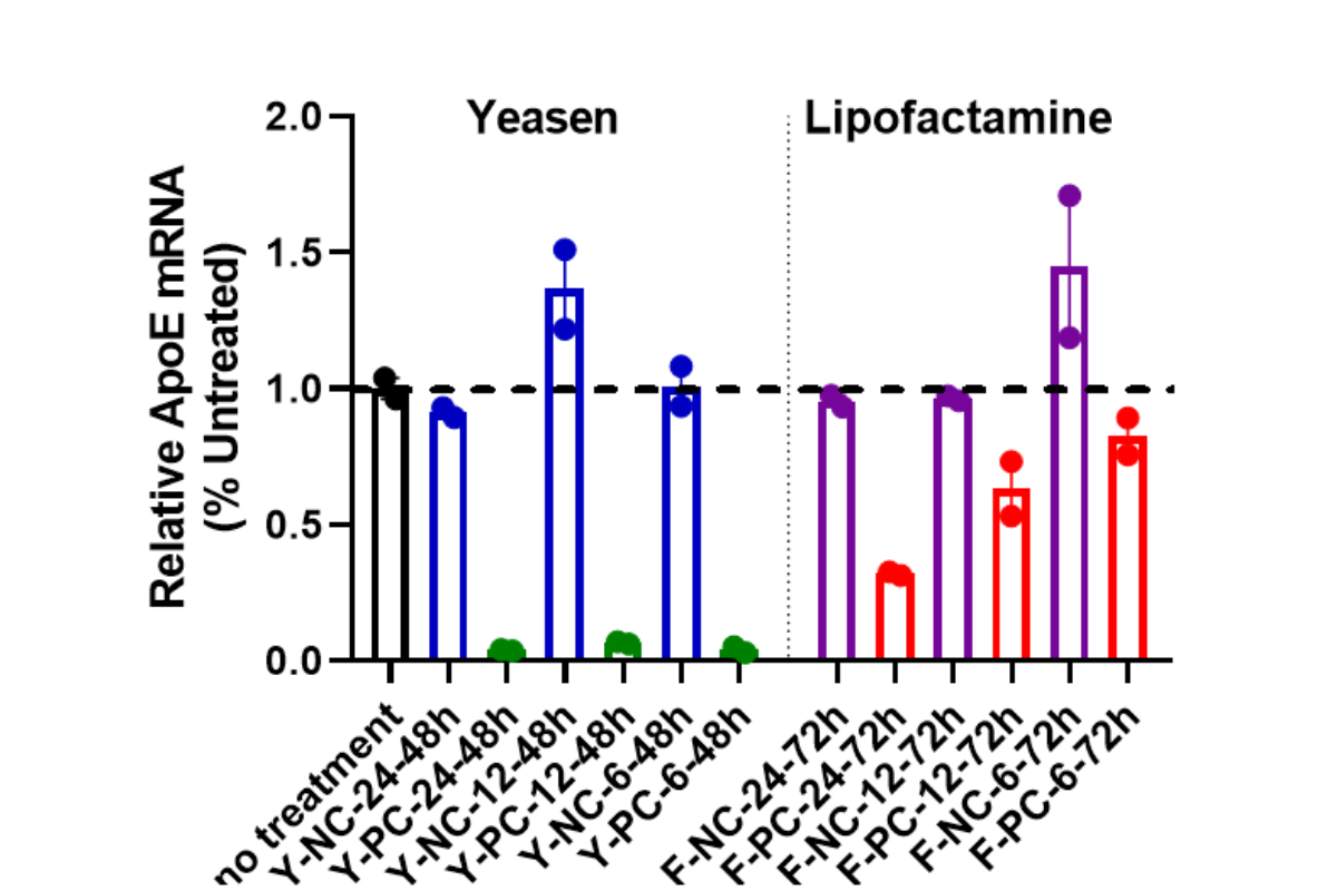 Cell Transfection | HePG2 (Human hepatocellular carcinoma cell line) Cells Transfection – siRNA
