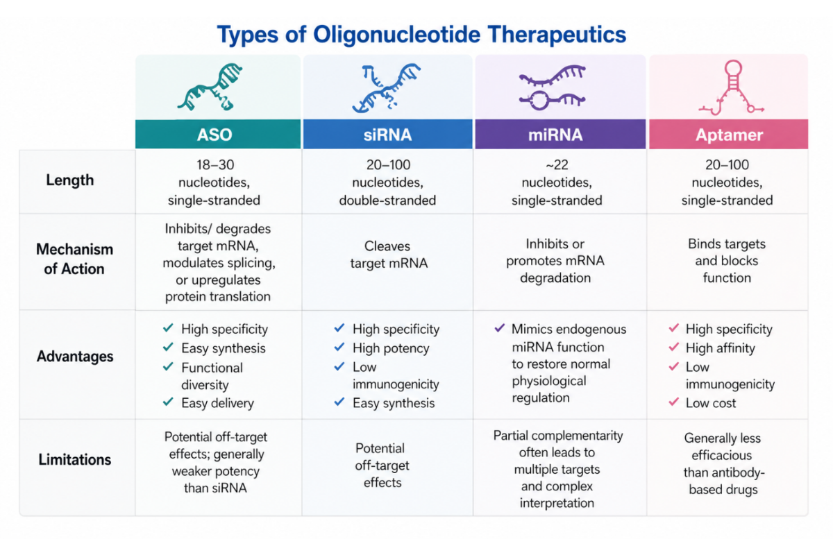 Accelerating Oligonucleotide Drug Discovery with Integrated RNA Screening Solutions