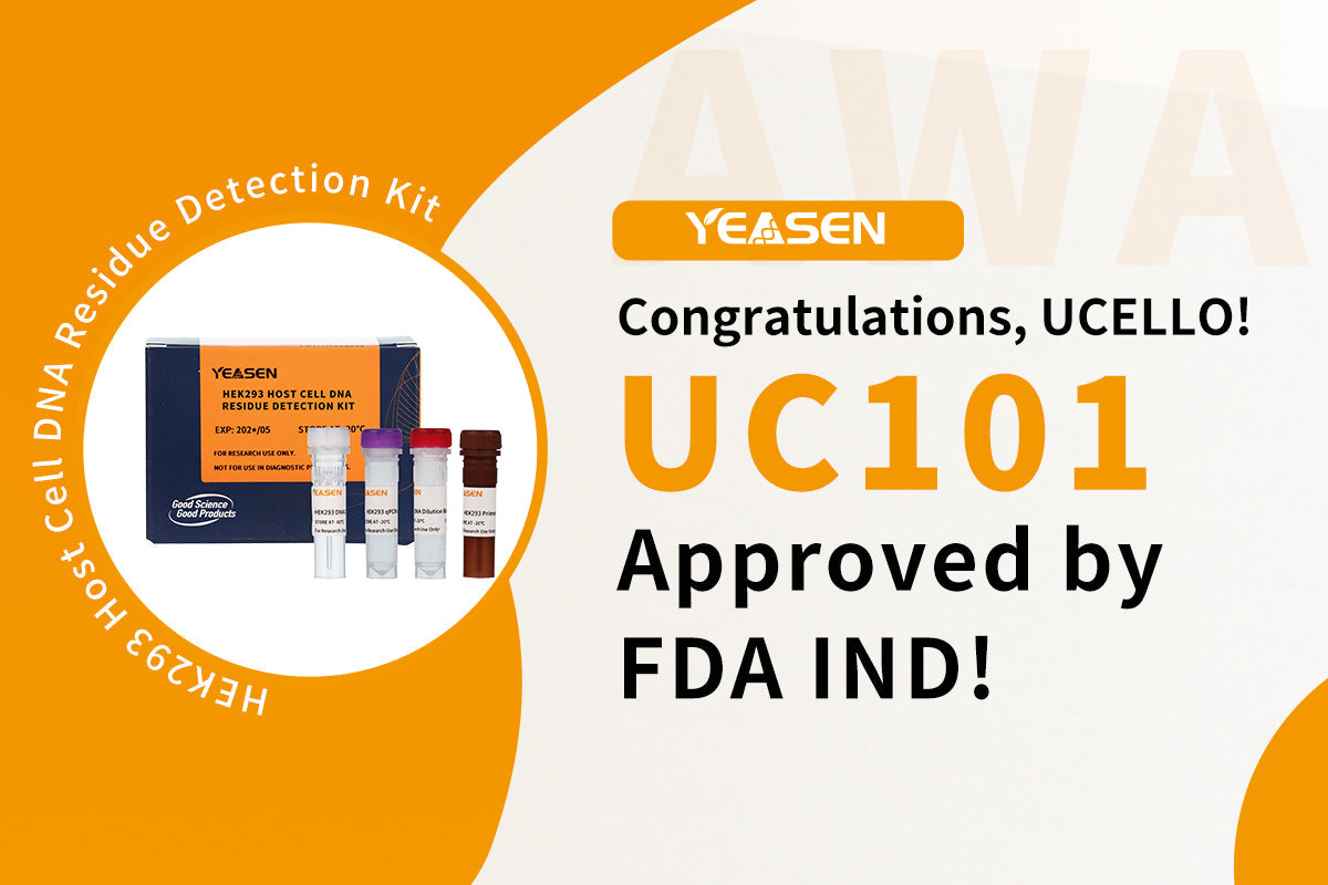 Congratulations! Ucello’s Cord Blood-Derived Allogeneic Universal CAR-T Approved by US FDA IND!