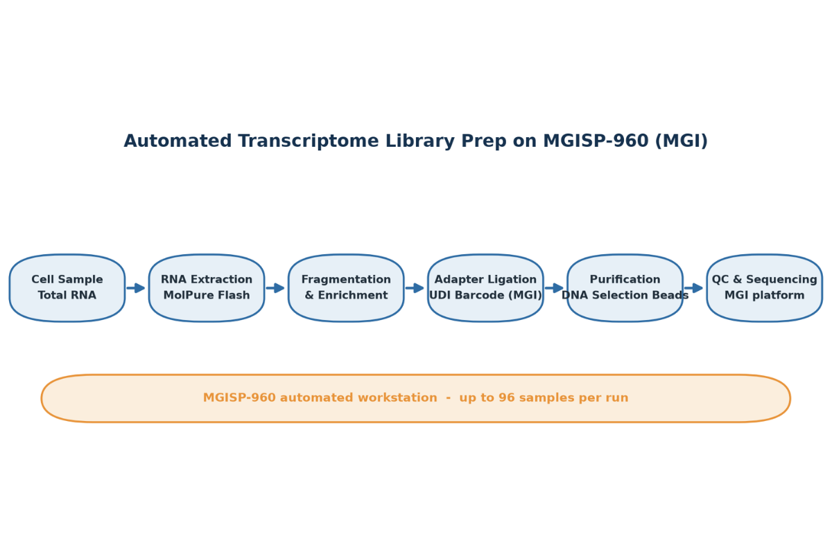 Automated RNA Library Prep | Transcriptome Sequencing-Cell Samples