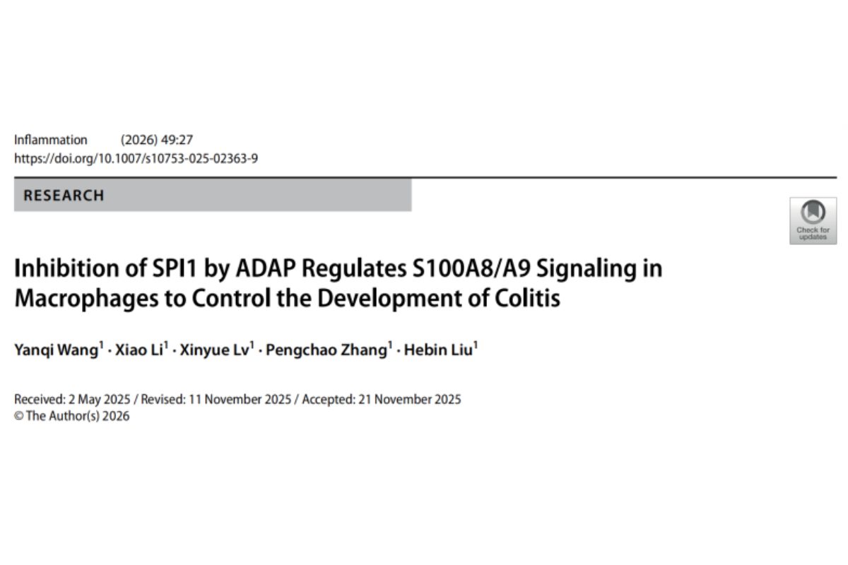 ADAP–SPI1–S100A8/A9 Axis Reveals a New Regulatory Mechanism in Colitis
