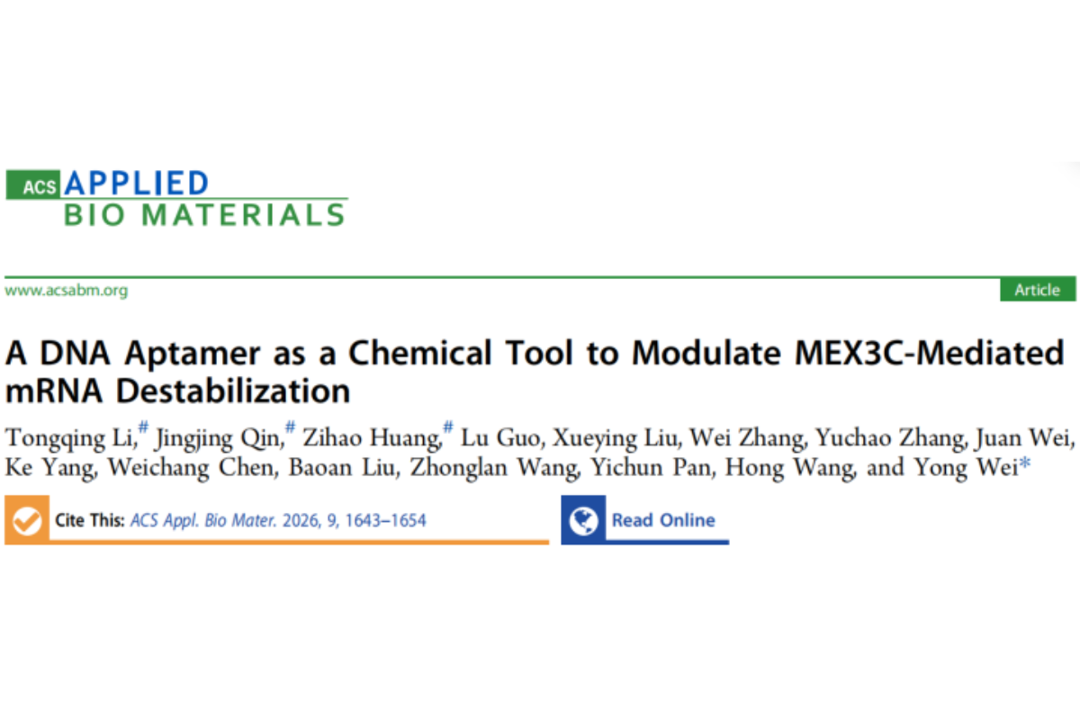 Breaking the “Undruggable” Barrier: A DNA Aptamer That Precisely Targets the RNA-Binding Protein MEX3C