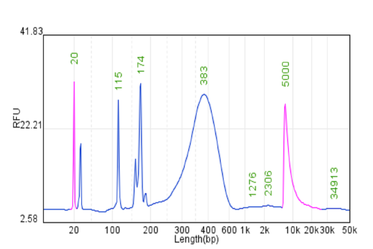 Rescuing Your Failed Libraries: A Guide to Ugly Electropherograms and What They Mean