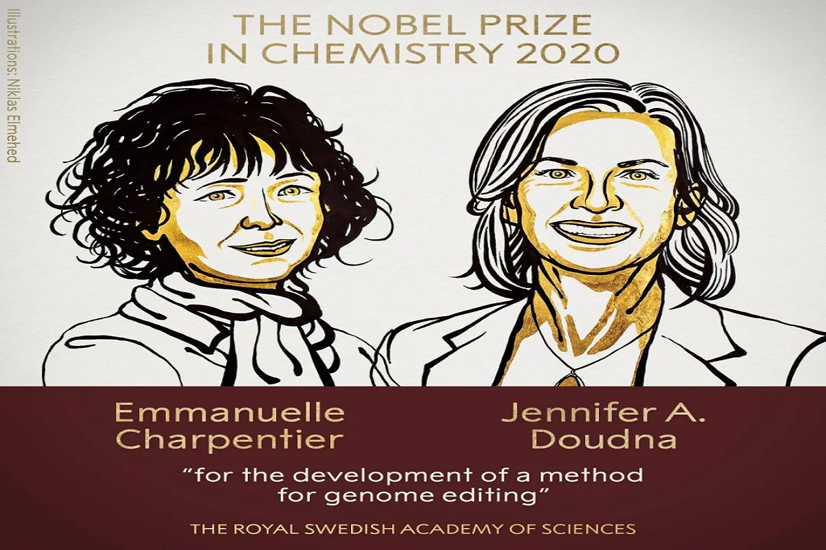Unraveling the Mechanism of Gene Editing: A Primer on CRISPR Technology