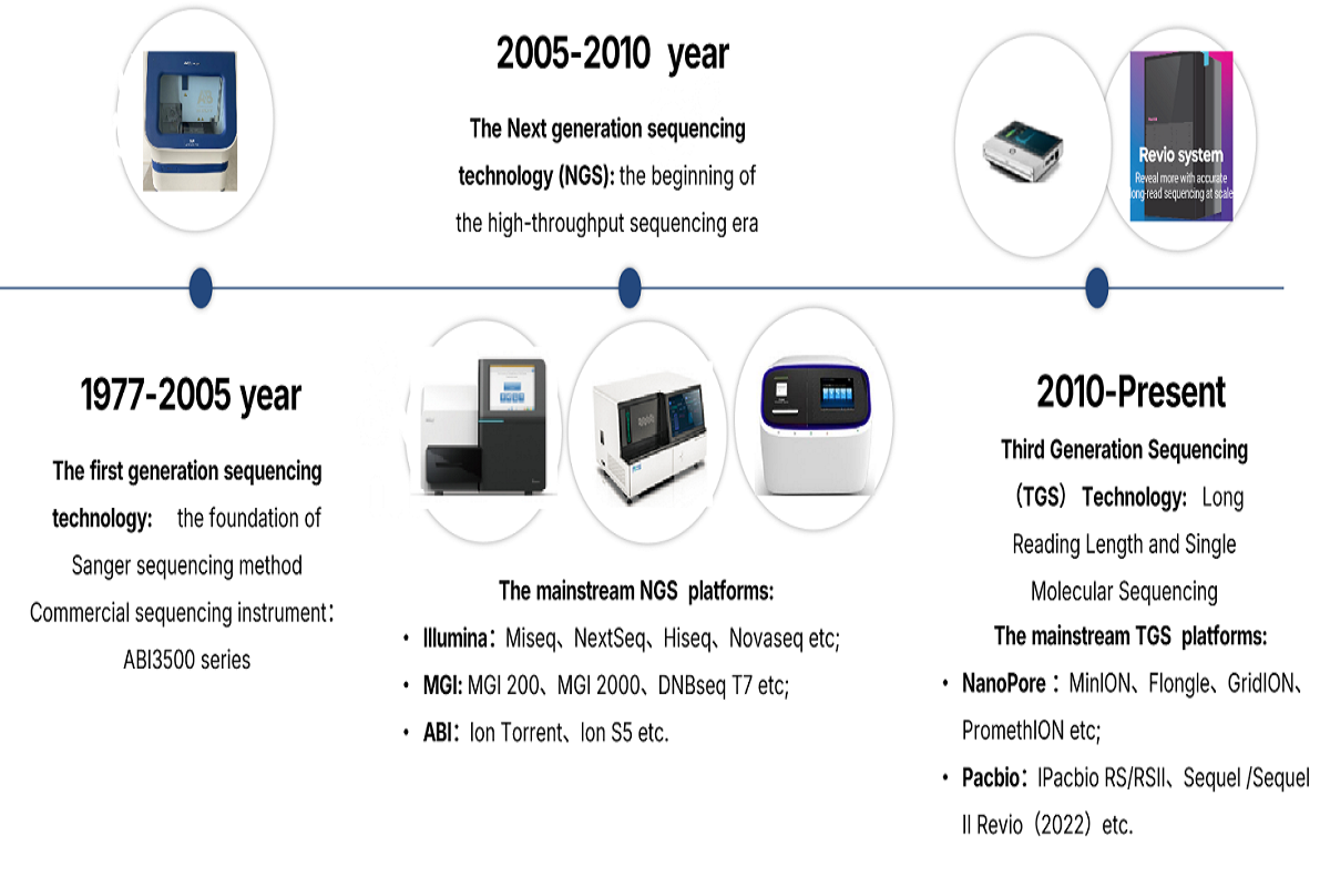 Decoding the Power of Third-Generation Sequencing: Applications Beyond NGS
