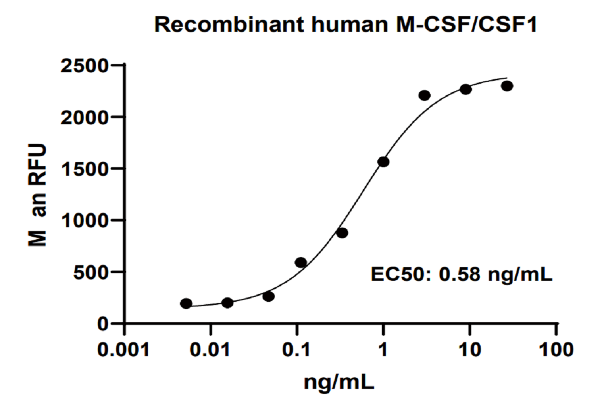 Differentiation and Phenotypic Regulation of PBMC-Derived Macrophages: Elucidating the Role of Core Cytokines