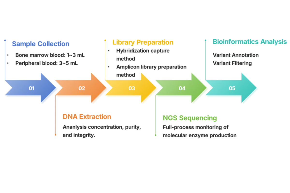 Comprehensive NGS Solutions for Hemato-Oncology Research and Clinical Applications