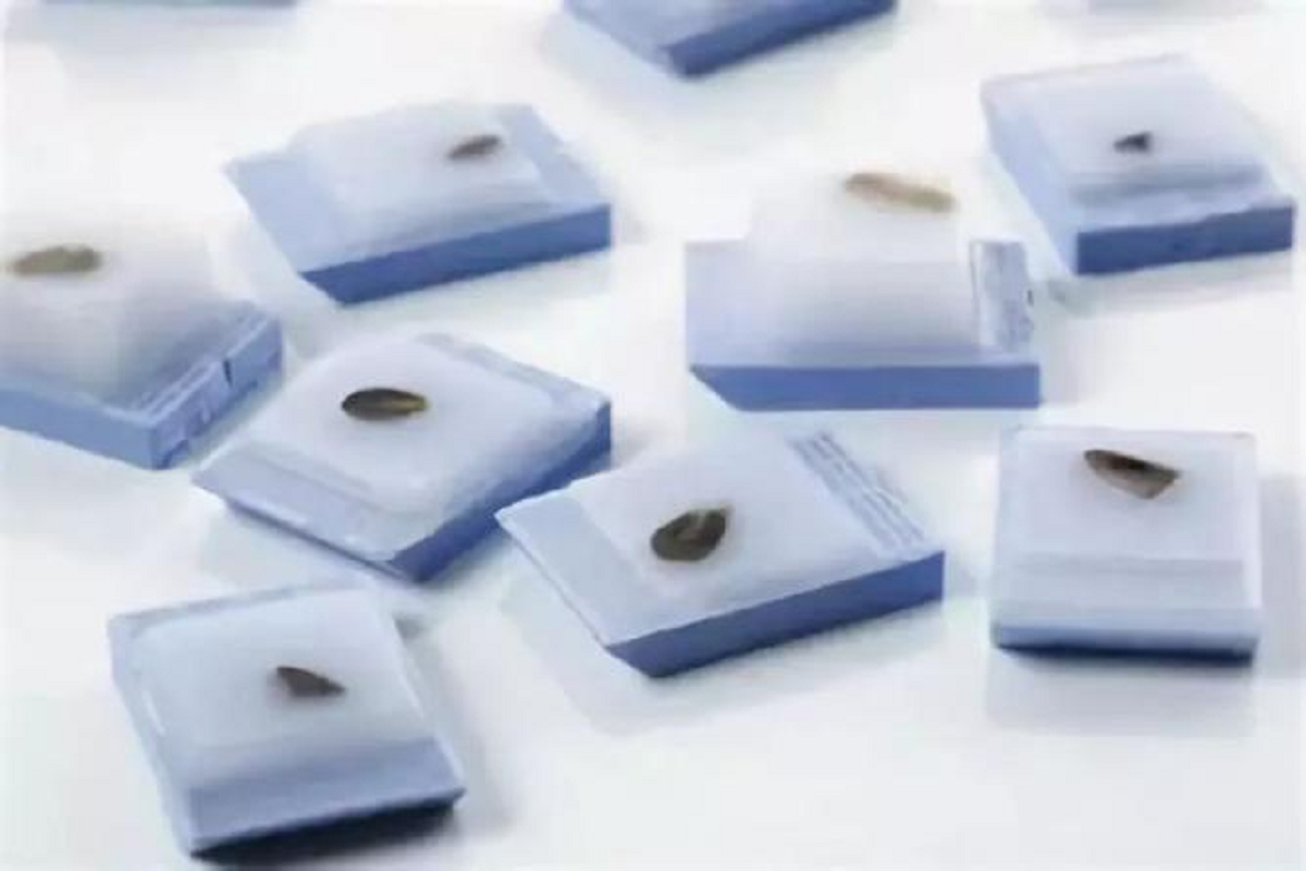 Overcoming FFPE Challenges: The Power of High-Efficiency DNA Repair Reagents