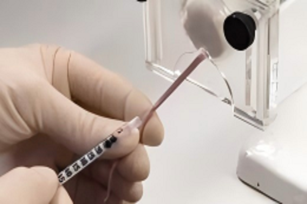 Clodronate Liposomes | Lesson 1: Injection Methods and Administration Strategies