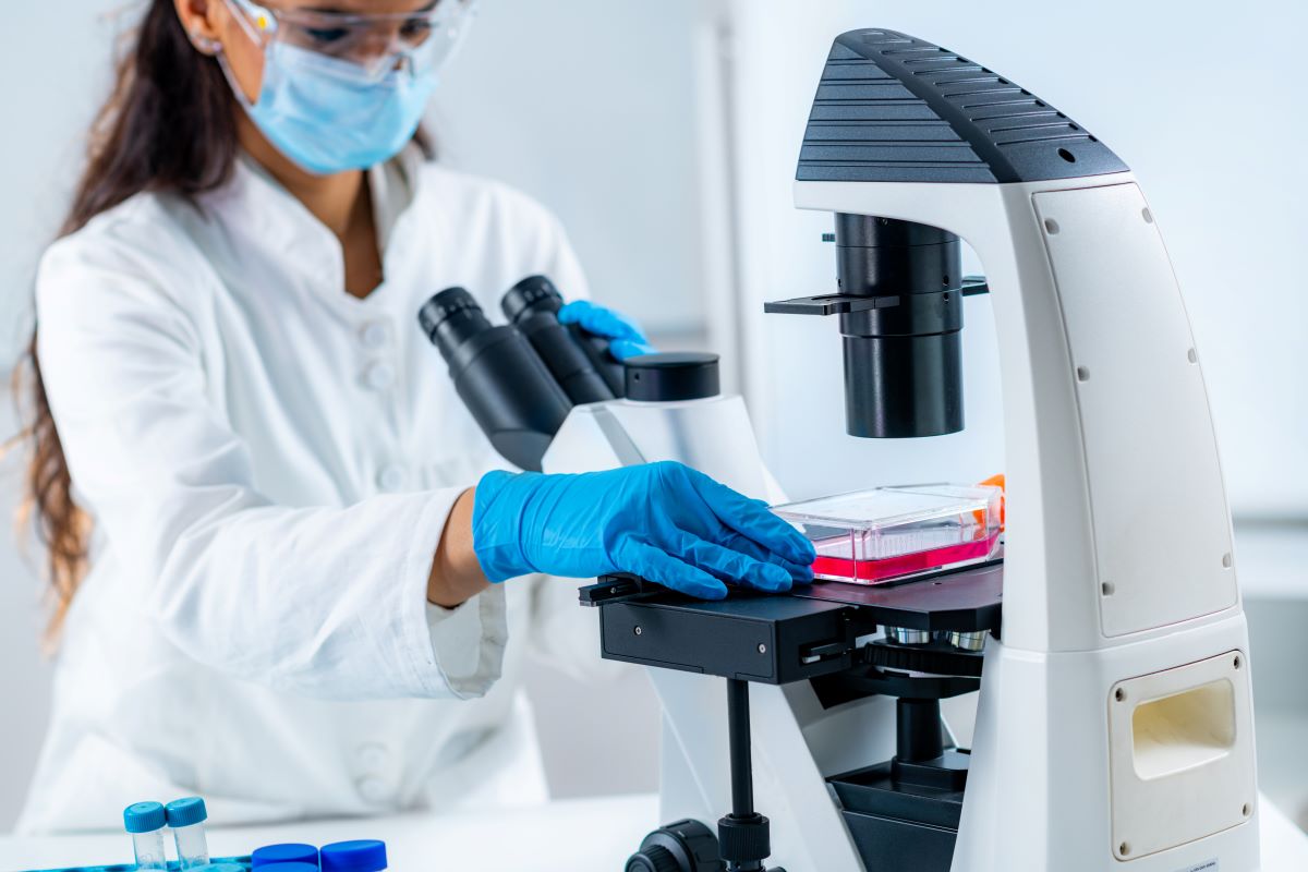 Hieff Trans ultraAAV Transfection Reagent GMP Edition: 50% Less Reagent, Same High Yield