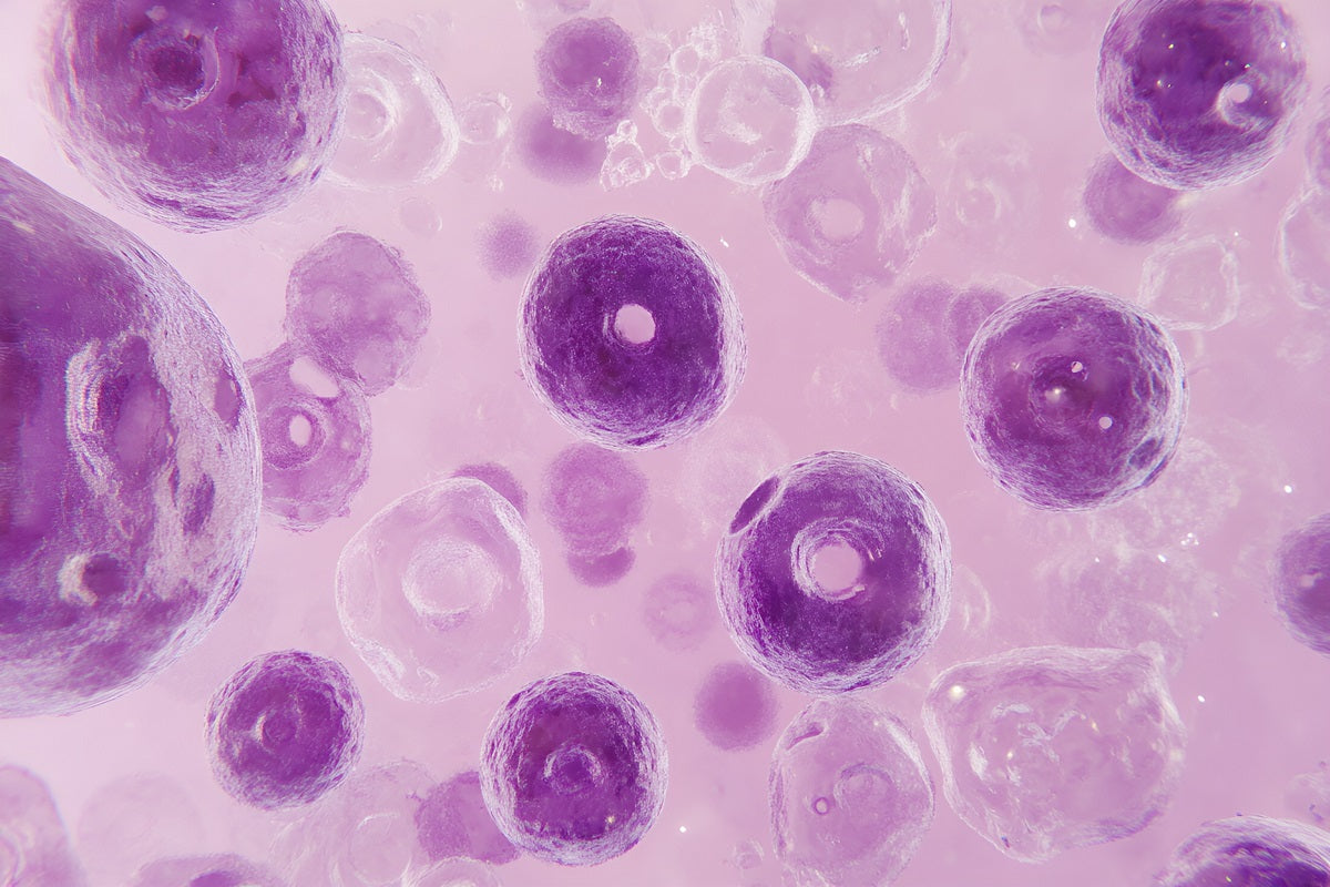 RPA (Recombinase Polymerase Amplification) FAQ – Everything You Need to Know