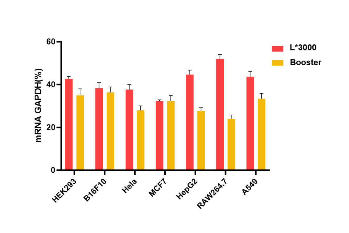 Protocol for Transfection of siRNA into Cells