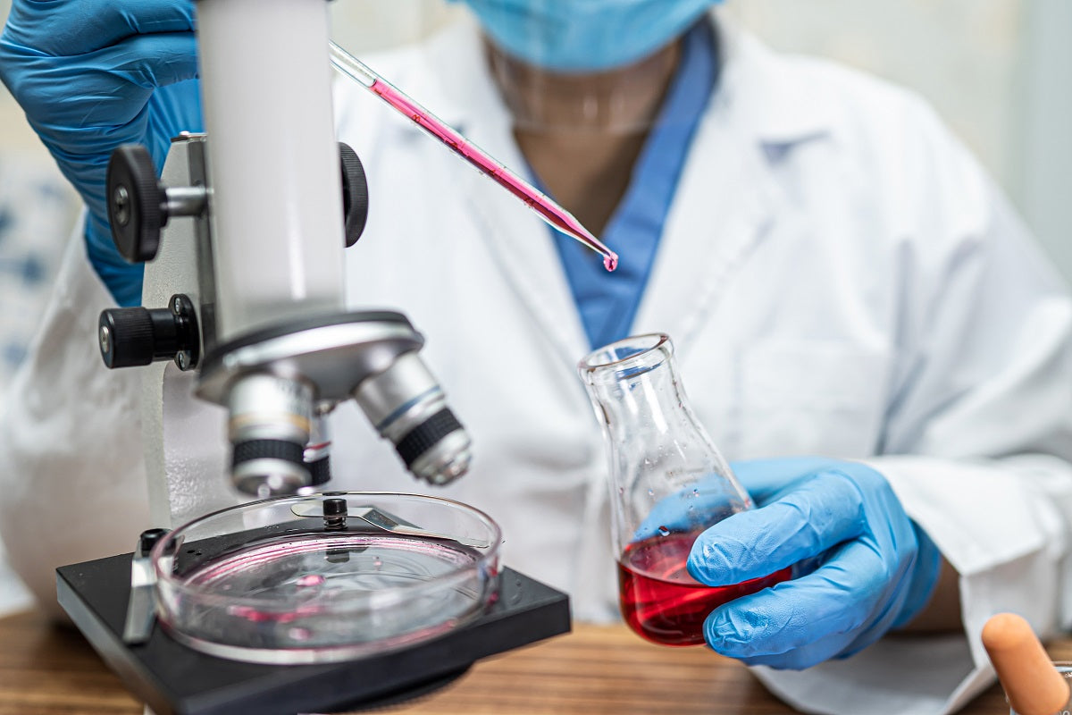 Western Blot Essentials: A Practical Guide to Protein Extraction and Key Considerations