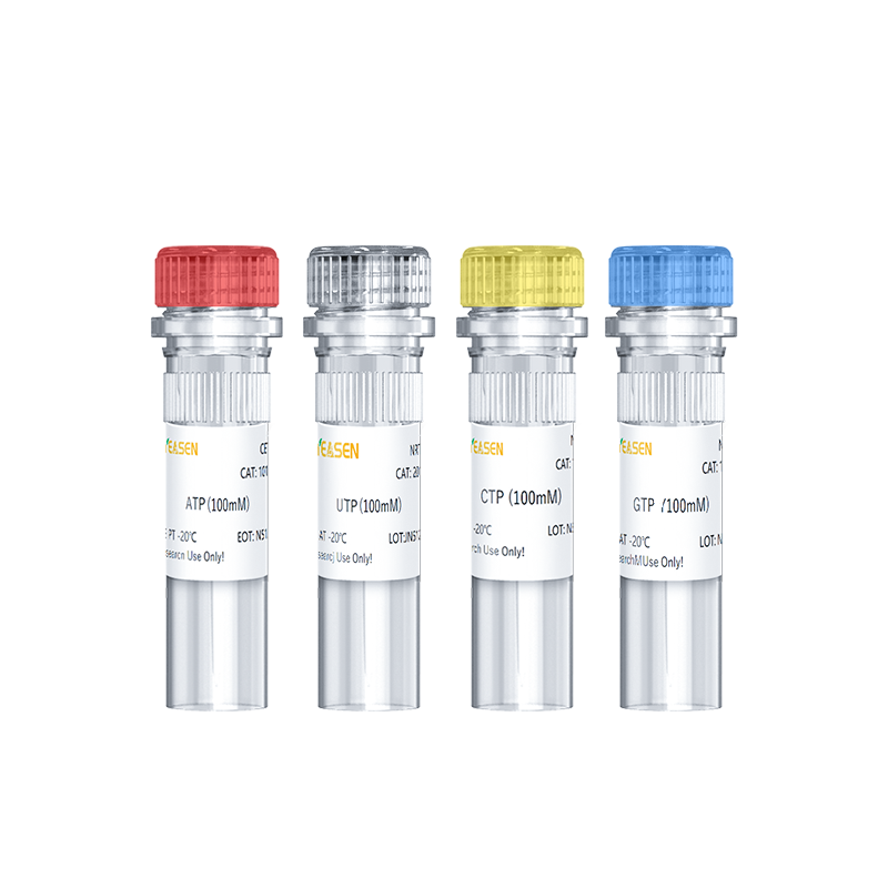 Solution de définition NTP (ATP, CTP, UTP, GTP, 100 mm chacun) -10133ES