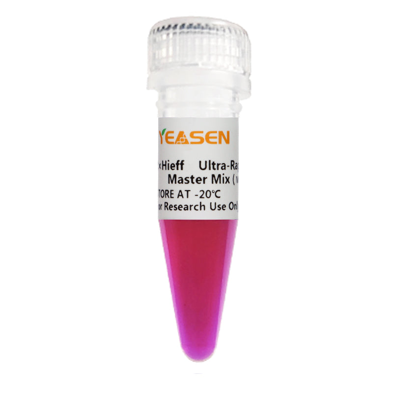 2 × HIEFF ™ Ultra-Rapid II Hotstart Universal PCR Master Mix _ 10167es