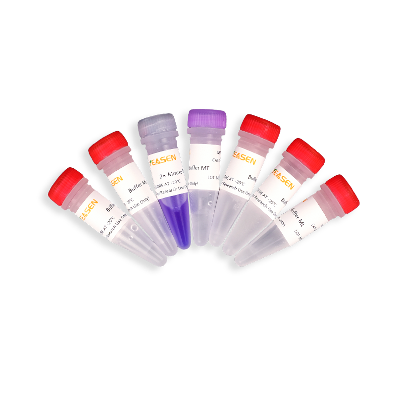 Kit de PCR direct de tissu de souris de souris (avec colorant) -10185ES