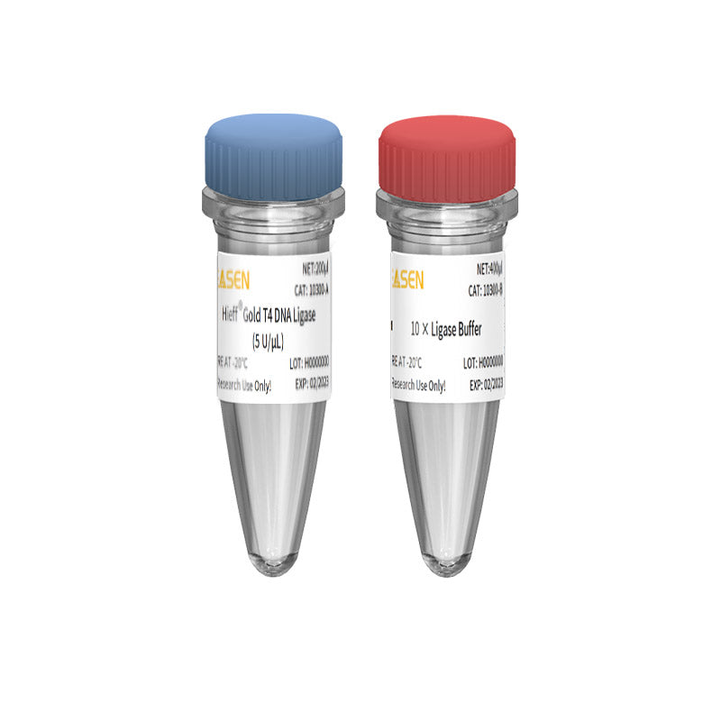 Hieff™ Gold T4 DNA Ligase (5 U/μL) _ 10300ES