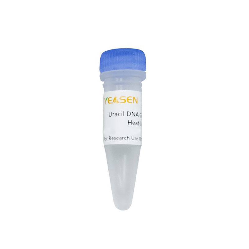 ADN glicosilasa de uracilo (UDG), lábado térmico (sin glicerol) (1 U/μL) -10707es