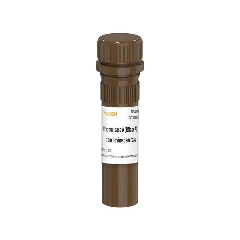 RNase A (10mg/mL) _ 10405ES