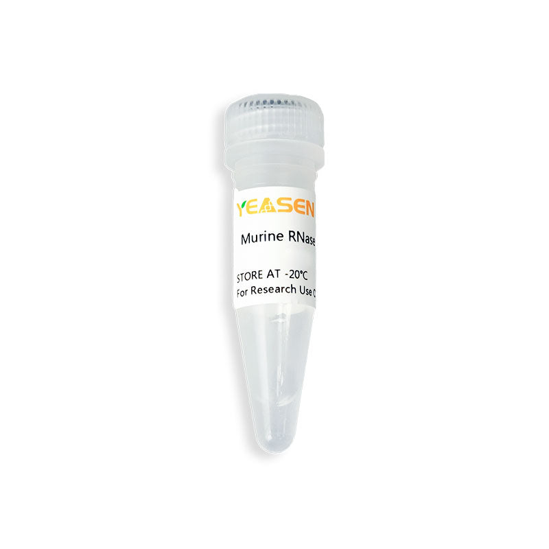 Inhibiteur de la RNase murin (40 U / μl) _ 10603ES