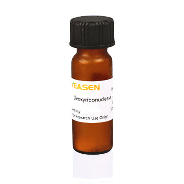 Deoxyribonuclease I (DNase I) van runderpancreas (≥2000 u/mg) _ 10608ES