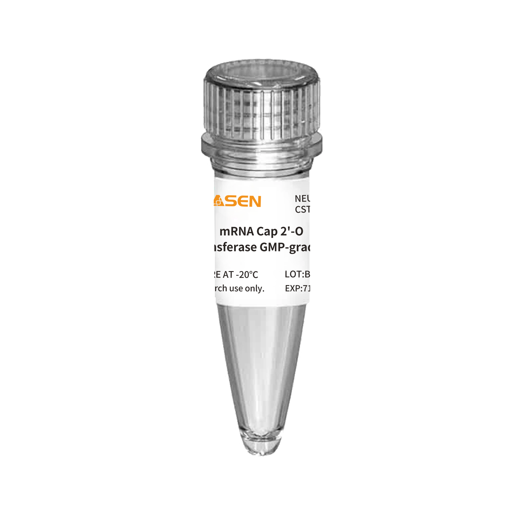 mRNA-cap 2'-O-methyltransferase GMP-kvalitet (50 U/μl) _ 10612es
