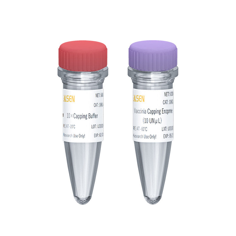 Enzyme de coiffage de la vaccina d'ARNm GMP de qualité (10 U / μl) _ 10614E