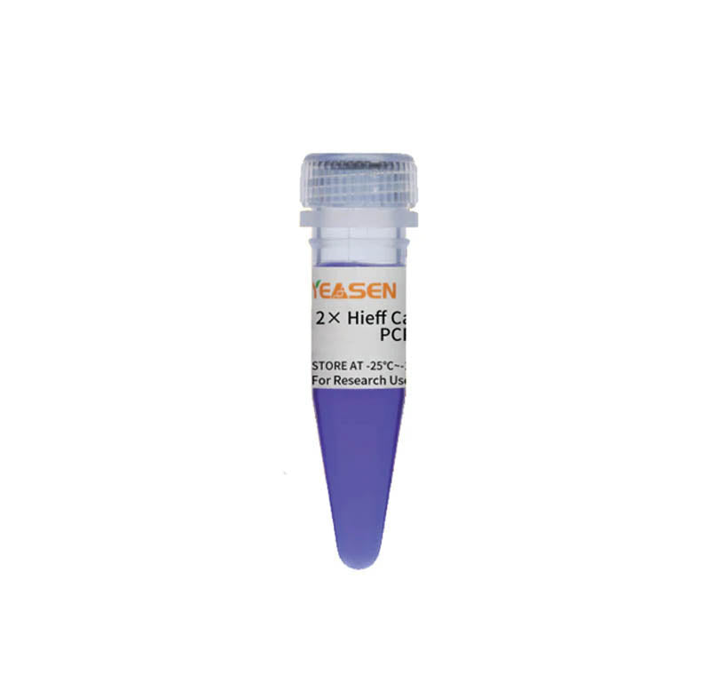 2 × Hieff Canace ™ AdvanceFast High -Fidelity PCR Master Mix (met kleurstof) -10164ES