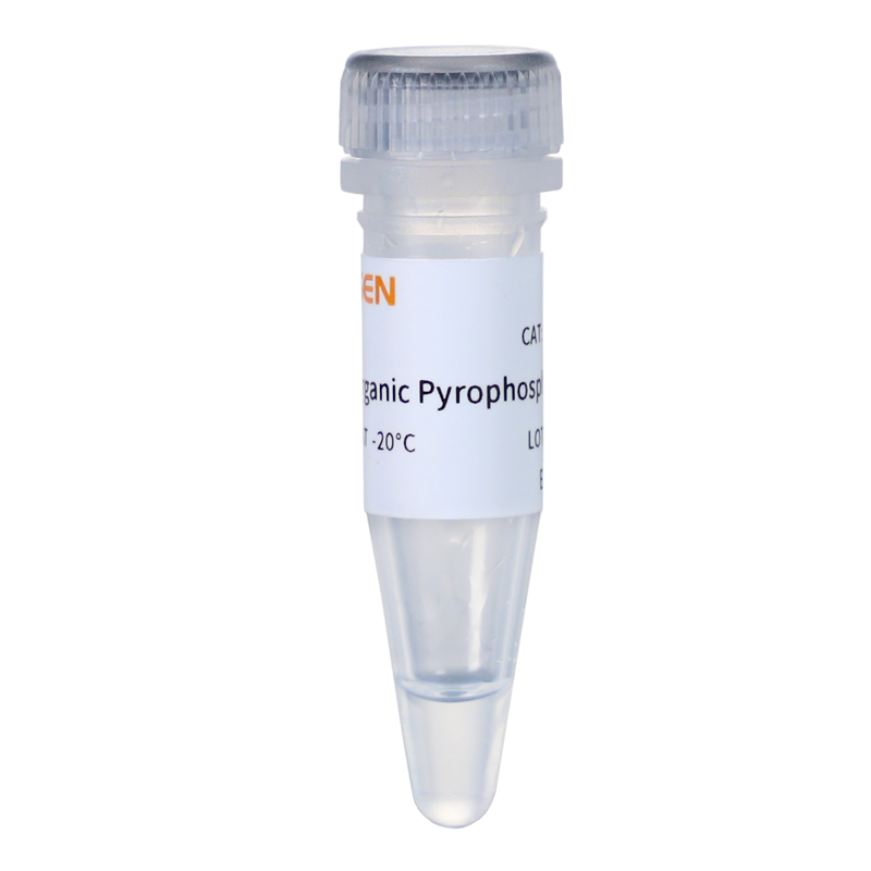 Pyrophosphatase, grade GMP inorganique (0,1 U / μl) -10672ES