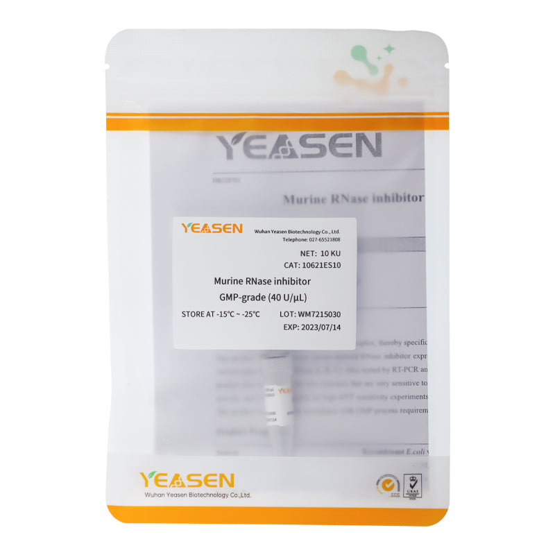 쥐 RNase 억제제 GMP 등급(40 U/μL) _ 10621ES