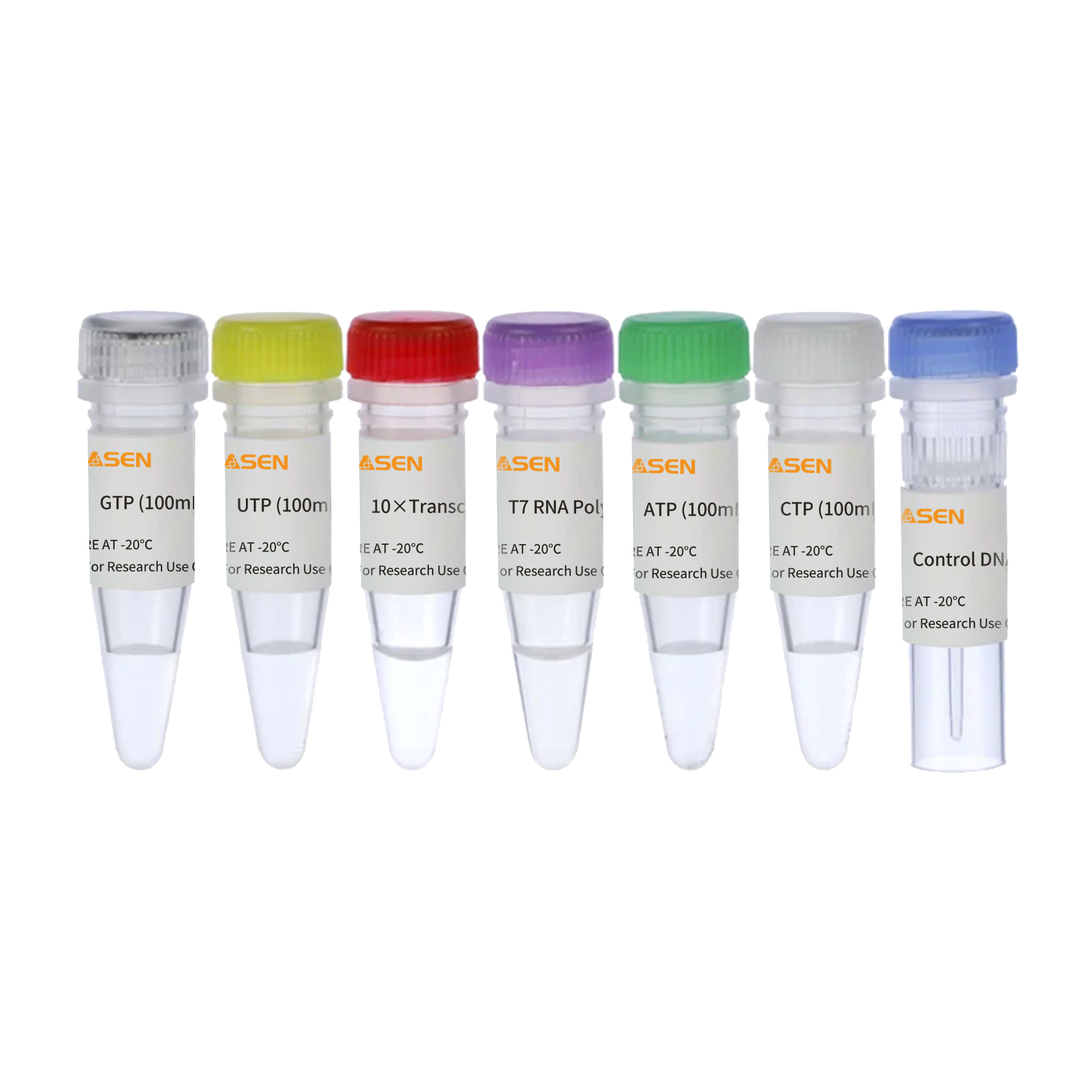 T7 RNA Synthesis Kit med højt udbytte -10623.