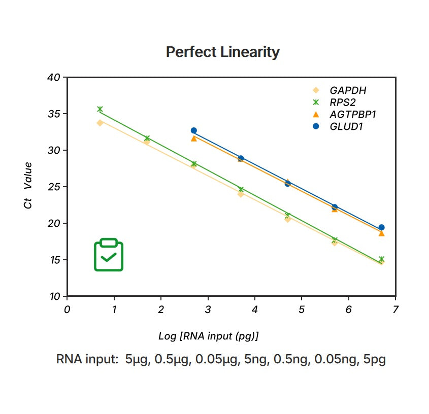 Hifair ™ Advancefast 1st Strand CDNA Sintesi Supermix per qPCR (GDNA Digester Plus) _ 11155es