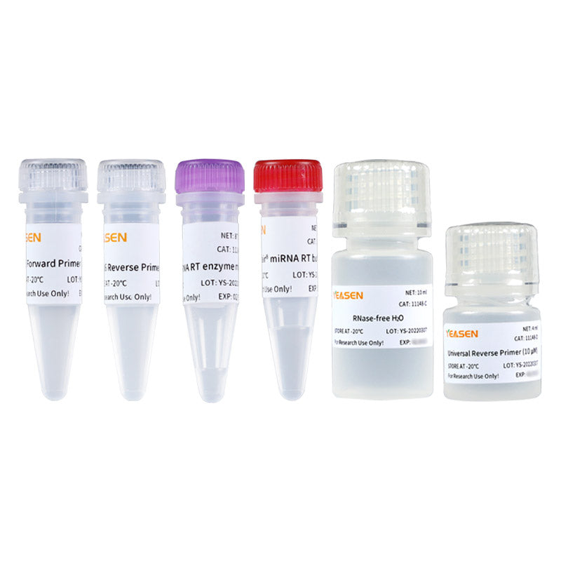 HIFAIR ™ MIRNA 1st Strand CDNA Síntese do kit -11148es