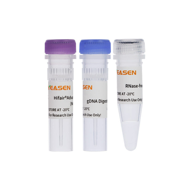 Hifair ™ Advancefast 1st Strand CDNA Sintesi Supermix per qPCR (GDNA Digester Plus) _ 11155es