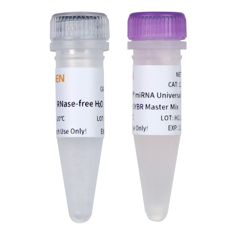 Hieff ™ miRNA universel qpcr Master mix _ 11171es