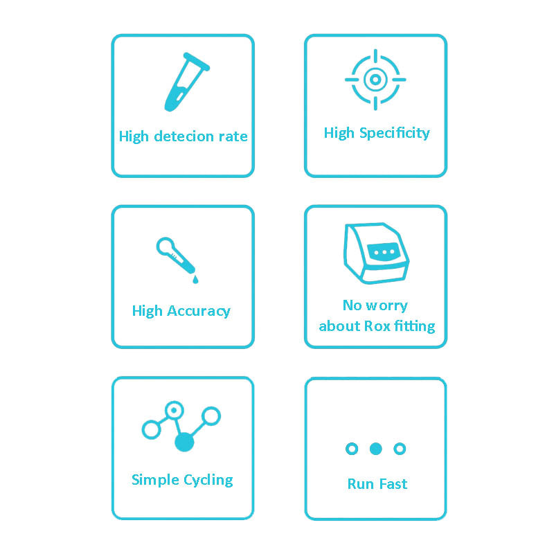 Hieff UNICON™ 유니버셜 블루 qPCR 마스터 믹스 _ 11184ES
