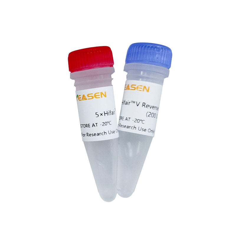 HIFAIR ™ V Transcriptase reversa -11300es