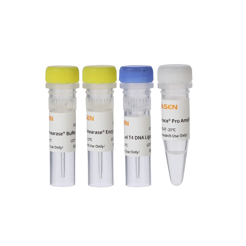 Hieff NGS ™ OnePot Pro DNA Kütüphanesi Hazırlık Kiti V3 (Enzimatik) -12194es